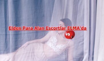 Erkek Kadın Fark Etmeden Yatan Travesti Escort
